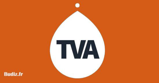 Pourquoi passer au régime mini-réel de TVA ?